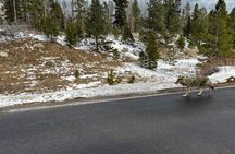 Purple Points Private Tours of Rocky Mountain National Park