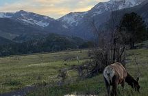 Purple Points Private Tours of Rocky Mountain National Park
