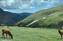 Purple Points Private Tours of Rocky Mountain National Park