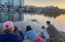 Dolphin/Manatee Pontoon Boat Tour with Local Expert