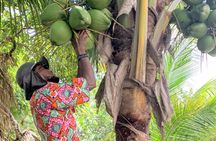 Garifuna Cultural and Culinary Experience in Hopkins Belize