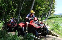 Ubud Quad Bike: Best Bali ATV Ride Adventure