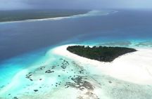 Full Day Private Mnemba Island + Turtles Aquarium & Kendwa Beach