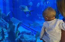 Dubai Aquarium & Underwater Zoo + Penguin Cove Entry Tickets
