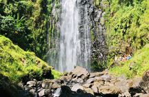 Materuni Waterfall, Coffee Tour and Picnic Hot Lunch 