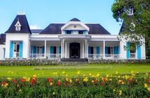 Mauritius Tea Route - Full Day 
