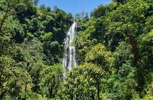 Materuni Waterfall, Coffee Tour and Picnic Hot Lunch 