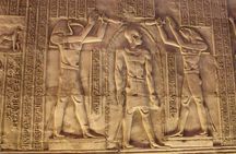  Private Day Tour to Edfu and Kom Ombo Temples from Luxor