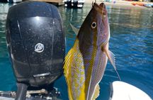 Light Tackle Fishing in St. Lucia 