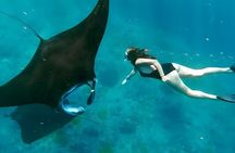 Snorkeling In Nusa Penida Departing From Bali Island
