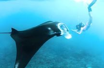 Nusa Penida Island Beach Tours with Snorkeling From Bali 