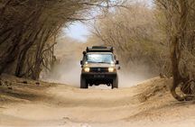 Boa Vista: 4h North Jeep Expedition Off-Road