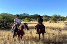 Guided 2 Hour Horseback Ride Catalina State Park Coronado Forest