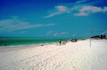 Tour to Celestun and see the flamingos