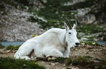 Moraine Lake - Banff Private Tour for groups