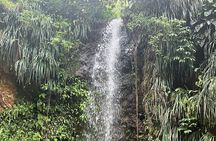 Sea and Land Tour in St. Lucia