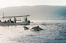 Mahi - Mahi Fishing Tour at North Bali Indonesia