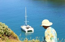 Private Catamaran Sailing Charter | Bay Of Islands