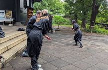 Ninja Walk