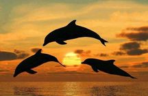 2 days tour from Jozani forest to Stone town zanzibar