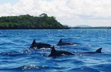 2 days tour from Jozani forest to Stone town zanzibar