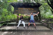 Private Tour to Doi Inthanon including Twins Pagodas and Hiking
