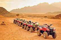 Shared Tour in Hurghada with Quad Bike, Camel Ride and Dinner 