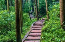 All-Inclusive Private Dujiangyan & Mount Qingcheng Day Tour