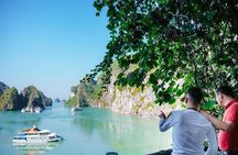 Halong Bay Deluxe Day Cruise from Ninh Binh