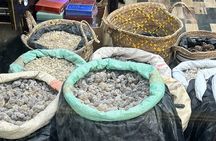 Salalah City Tour with History, Culture, Souq Shopping, Halwa