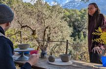 2-Hour Small Group Ceramic Workshop in a Natural Environment