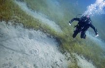South of Tenerife : DSD Scuba Diving for beginners, Adeje