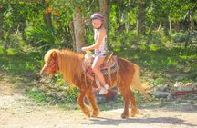 Horseback Riding and Zipline Jungle Adventure