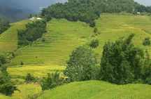 Sapa Trekking / Hiking through Sapa Valley with native Hmong