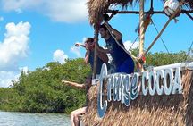 2 hour Dolphin Sightseeing Tour in Melbourne Florida 