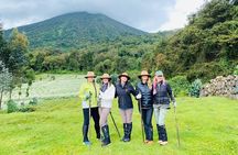 2 Days Ultimate Gorilla trekking