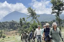 2 Days Ultimate Gorilla trekking