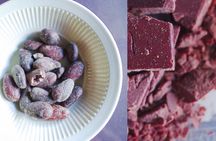 Morne Coubaril 3 in 1 Zipline Rum Chocolate and Lunch Experience