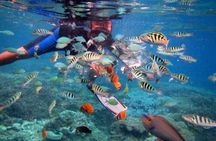 Swim With Manta Rays Snorkeling and Village Tour Lembongan 