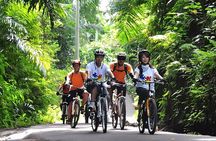 Bali Cycling and Ayung River Rafting Packages