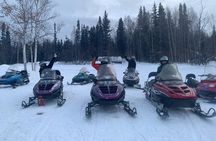 1 Hour Snowmobile Tour in Fairbanks Alaska