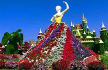 Dubai Miracle Garden Entry Tickets