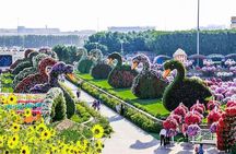 Dubai Miracle Garden Entry Tickets