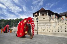 Classical Sri Lanka (7 Day Guided Round Tour)