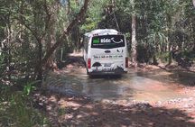 Magnetic Island: West Coast Eco Adventure