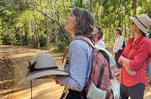 Magnetic Island: West Coast Eco Adventure