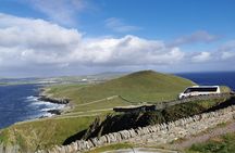 Half Day Private Tour with Puffins, Ponies and Past Shetland