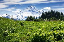 From Seattle - Enchanting Mt Baker and Cascades Tour in SUV