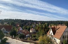 Day Trip from Fez to Middle Atlas Mountains, Cedar Forest & Azrou