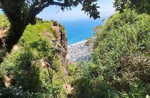 Pedra da Gávea Adventure Tour